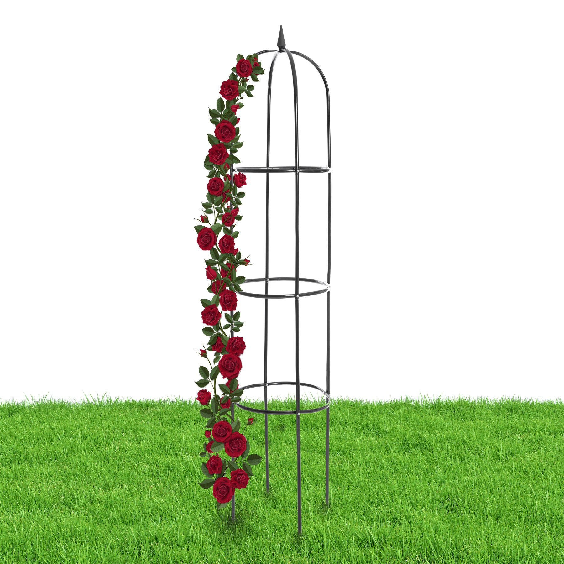 Rankhilfe Rosenbogen 40 x 200 cm grün wetterfest – Obelisk Rankturm Rosenstütze  5