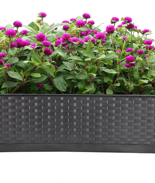 2er Set Blumenkasten mit Untersetzer 60 cm lang Rattan-Optik anthrazit - aus PP-Kunststoff 2