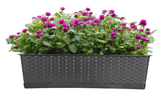 BigDean 2er Set Blumenkasten mit Untersetzer 60 cm lang Rattan-Optik anthrazit - aus PP-Kunststoff 2