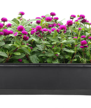3er Set Blumenkasten mit Untersetzer 60 cm lang anthrazit - aus PP-Kunststoff 3