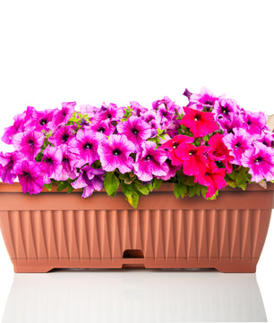 Blumenkasten mit Untersetzer Balkonkasten Pflanzkasten - Terracotta 50 cm Innen & Außen
