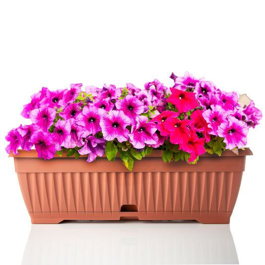 BigDean Blumenkasten mit abnehmbarem Untersetzer - Terracotta 50 cm lang aus bruchsicherem Kunststoff - Balkonkasten Pflanzkasten mit Wasserspeicher für Innen- & Außenbereich geeignet - Made in Europe