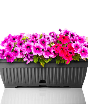 Blumenkasten mit Untersetzer Balkonkasten Pflanzkasten - Anthrazit 50 cm Innen & Außen