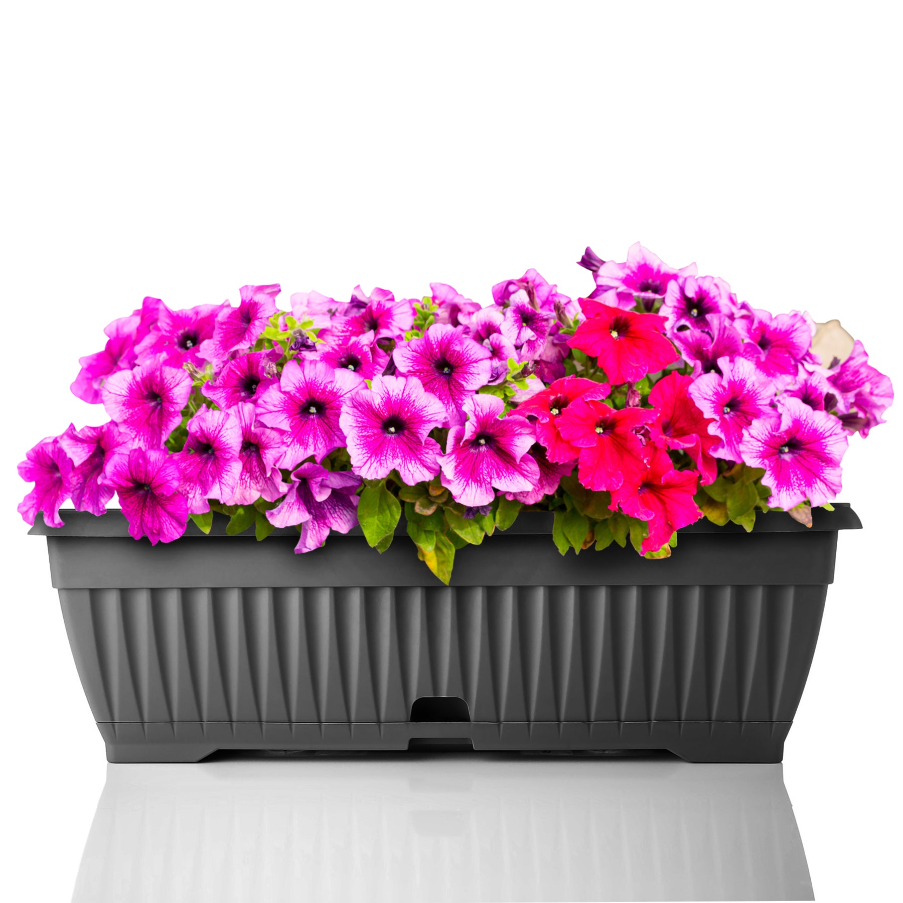 Blumenkasten mit Untersetzer Balkonkasten Pflanzkasten - Anthrazit 50 cm Innen & Außen