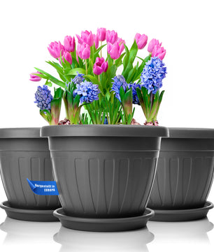 3x Blumentopf mit passendem Untersetzer rund ø33xH25 cm anthrazit wetterfest UV-beständig