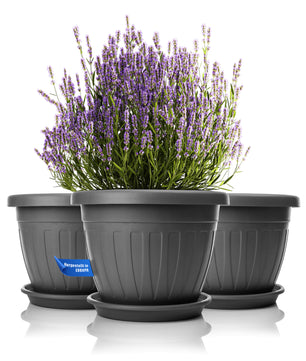 3x Blumentopf mit passendem Untersetzer rund ø40xH31 cm anthrazit wetterfest UV-beständig
