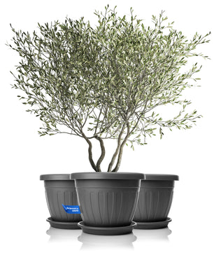 3x Blumentopf mit passendem Untersetzer rund ø50xH38 cm anthrazit wetterfest UV-beständig