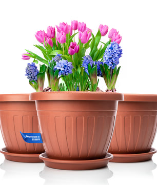 3x Blumentopf mit passendem Untersetzer rund ø33xH25 cm terracotta wetterfest UV-beständig