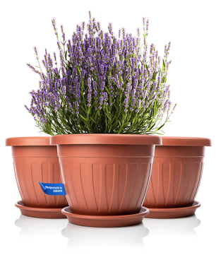 3x Blumentopf mit passendem Untersetzer rund ø40xH31 cm terracotta wetterfest UV-beständig