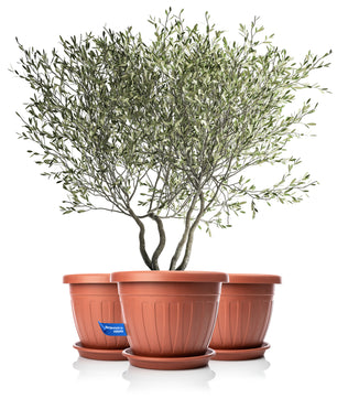 3x Blumentopf mit passendem Untersetzer rund ø50xH38 cm terracotta wetterfest UV-beständig