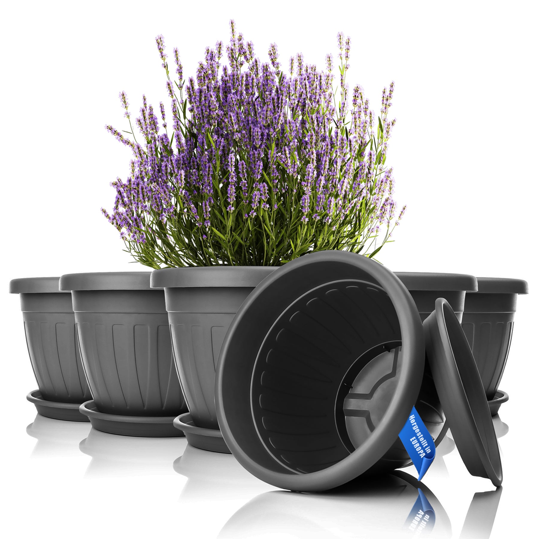 ecomposer-farbe-anthrazit,ecomposer-größe-durchmesser40cm