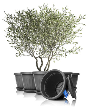 ecomposer-farbe-anthrazit,ecomposer-größe-durchmesser50cm