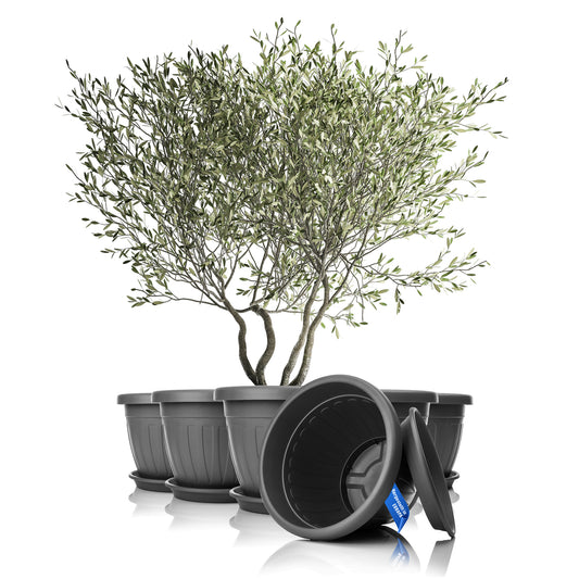 BigDean 6X Blumentopf mit Untersetzer rund ø50xH38 cm anthrazit - wetterfester Pflanzkübel - Wasserablauf UV-beständig aus bruchsicherem Kunststoff - Innen + Außen geeignet - Made in Europe image 1