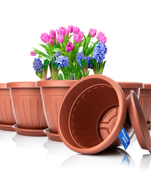 6x Blumentopf mit passendem Untersetzer rund ø33xH25 cm terracotta wetterfest UV-beständig