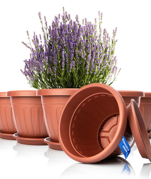 6x Blumentopf mit passendem Untersetzer rund ø40xH31 cm terracotta wetterfest UV-beständig