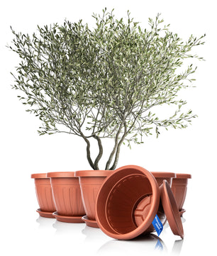 6x Blumentopf mit passendem Untersetzer rund ø50xH38 cm terracotta wetterfest UV-beständig