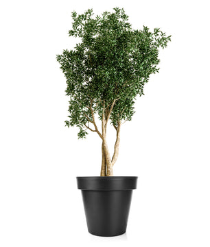 Blumentopf XXL ø60 cm classic anthrazit mit 360 Grad Rollen verschließbarer Wasserablauf