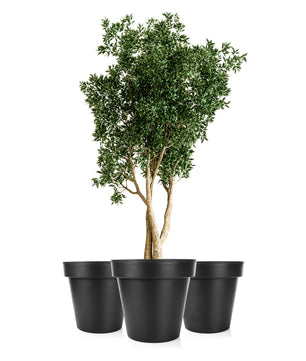 3x Blumentopf XXL ø60 cm classic anthrazit + 360 Grad Rollen verschließbarer Wasserablauf