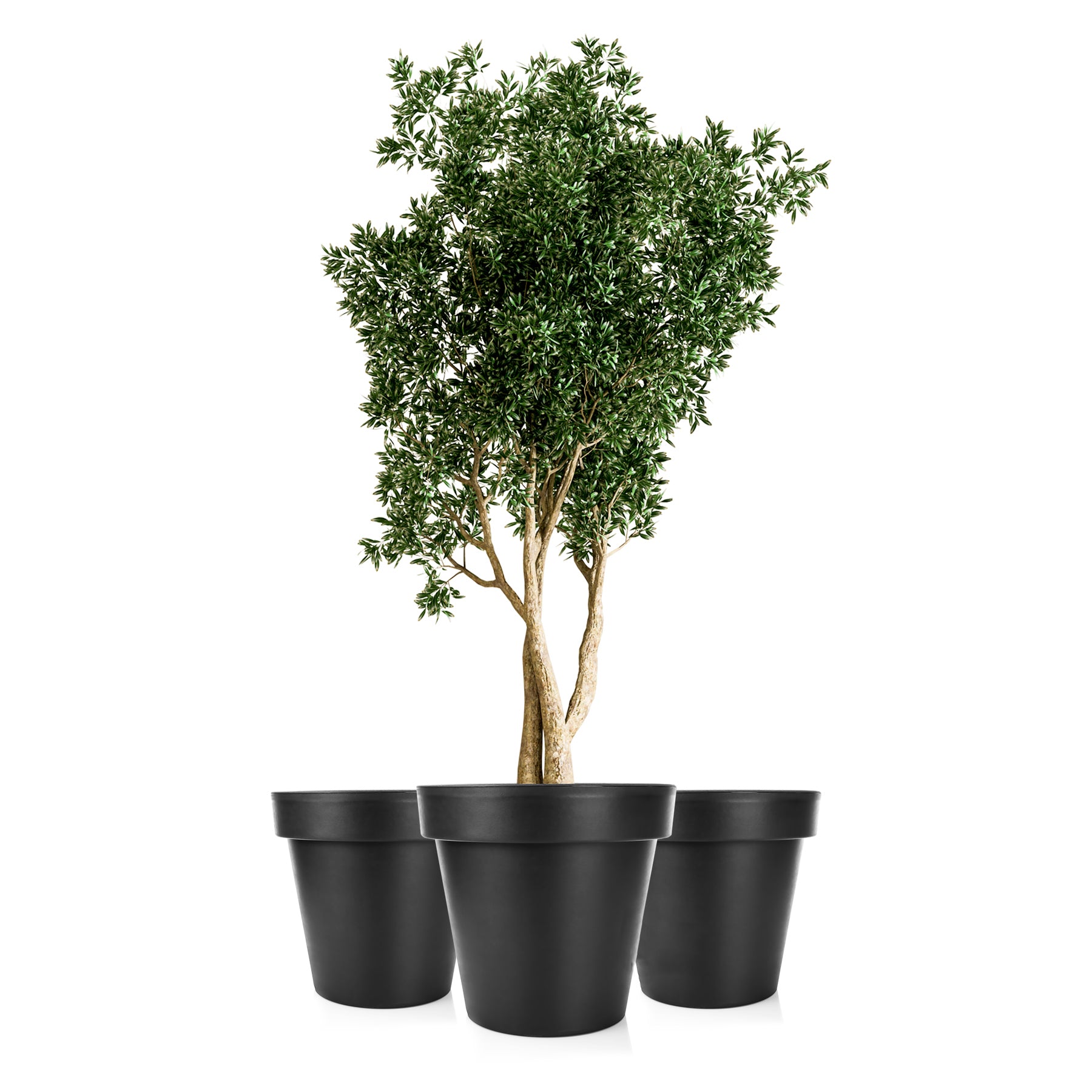 3x Blumentopf XXL ø60 cm classic anthrazit + 360 Grad Rollen verschließbarer Wasserablauf