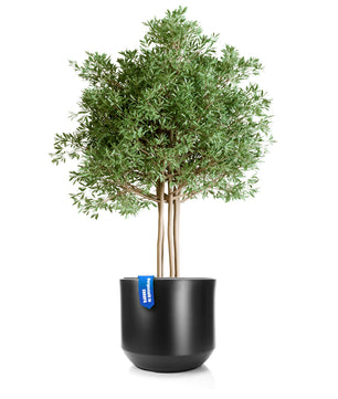 ecomposer-menge-1x,ecomposer-größe-58cm