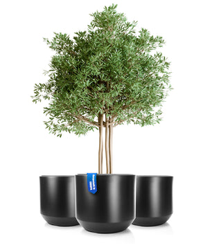 ecomposer-menge-2x,ecomposer-größe-durchmesser58cm