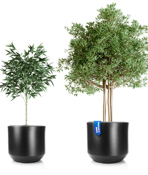 2er Set Blumentopf ø 46 + 58 cm anthrazit mit herausnehmbaren Innentopf - Pflanzkübel