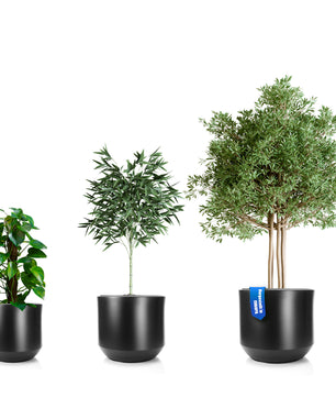3er Set Blumentopf ø 40 + 46 + 58 cm anthrazit mit herausnehmbaren Innentopf - Pflanzkübel