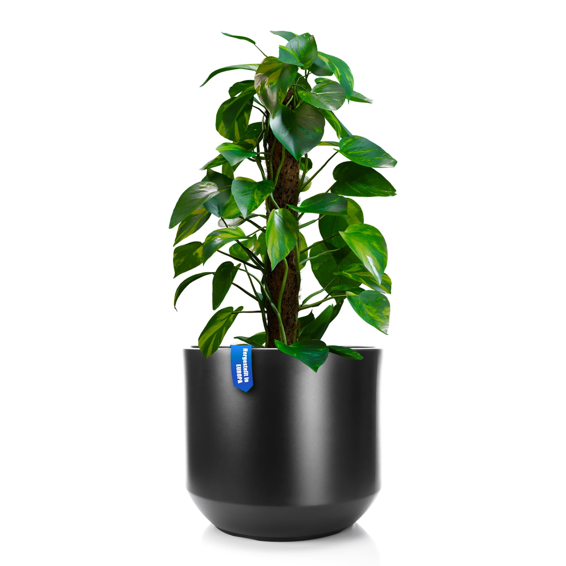 Blumentopf ø 40 cm anthrazit mit herausnehmbaren Innentopf - wetterfester Pflanzkübel