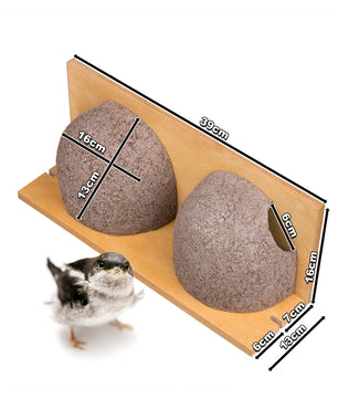 2x Schwalbennistkasten Doppelnest Schwalbennest Mehlschwalbennest Nistkasten Nisthilfe Schwalben Hol 5