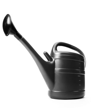 Gießkanne 10 Liter anthrazit mit abnehmbarer Brause für Haus & Garten + Brausehalterung