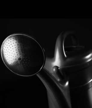 2x Gießkanne 10 Liter anthrazit mit abnehmbarer Brause für Haus & Garten + Brausehalterung 4