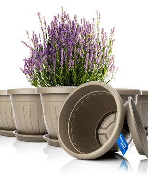 6x Blumentopf mit Untersetzer rund ø40xH31 cm Mokka/braun - wetterfester Pflanzkübel