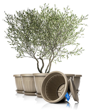 6x Blumentopf mit Untersetzer rund ø50xH38 cm Mokka/braun - wetterfester Pflanzkübel