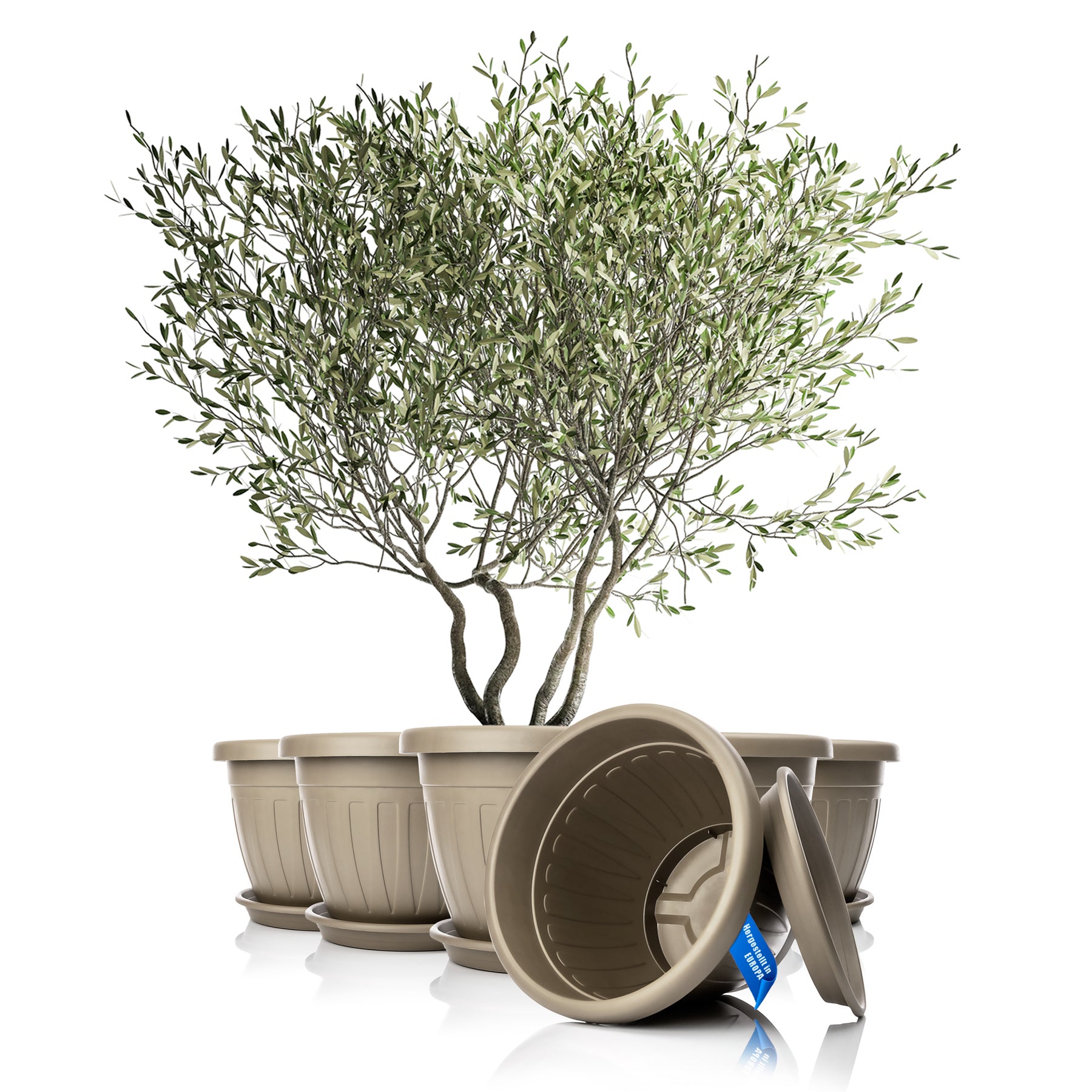 6x Blumentopf mit Untersetzer rund ø50xH38 cm Mokka/braun - wetterfester Pflanzkübel