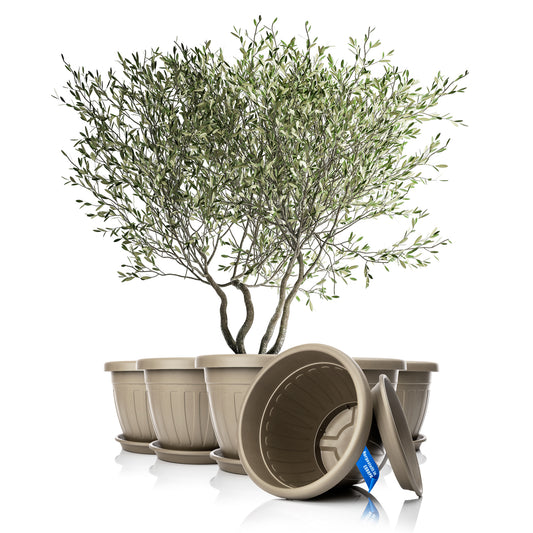 BigDean 6x Blumentopf mit Untersetzer rund ø50xH38 cm Mokka/braun - wetterfester Pflanzkübel - Wasserablauf UV-beständig aus bruchsicherem Kunststoff - Innen + Außen geeignet - Made in Europe image 1