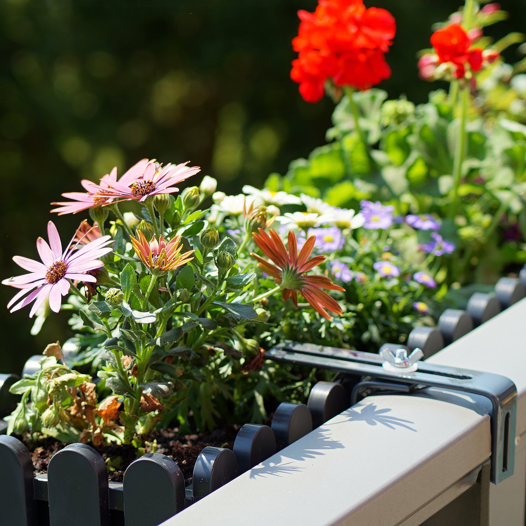 Blumenkastenhalterung 10 Stück Anthrazit für Balkon und Geländer geeignet 2
