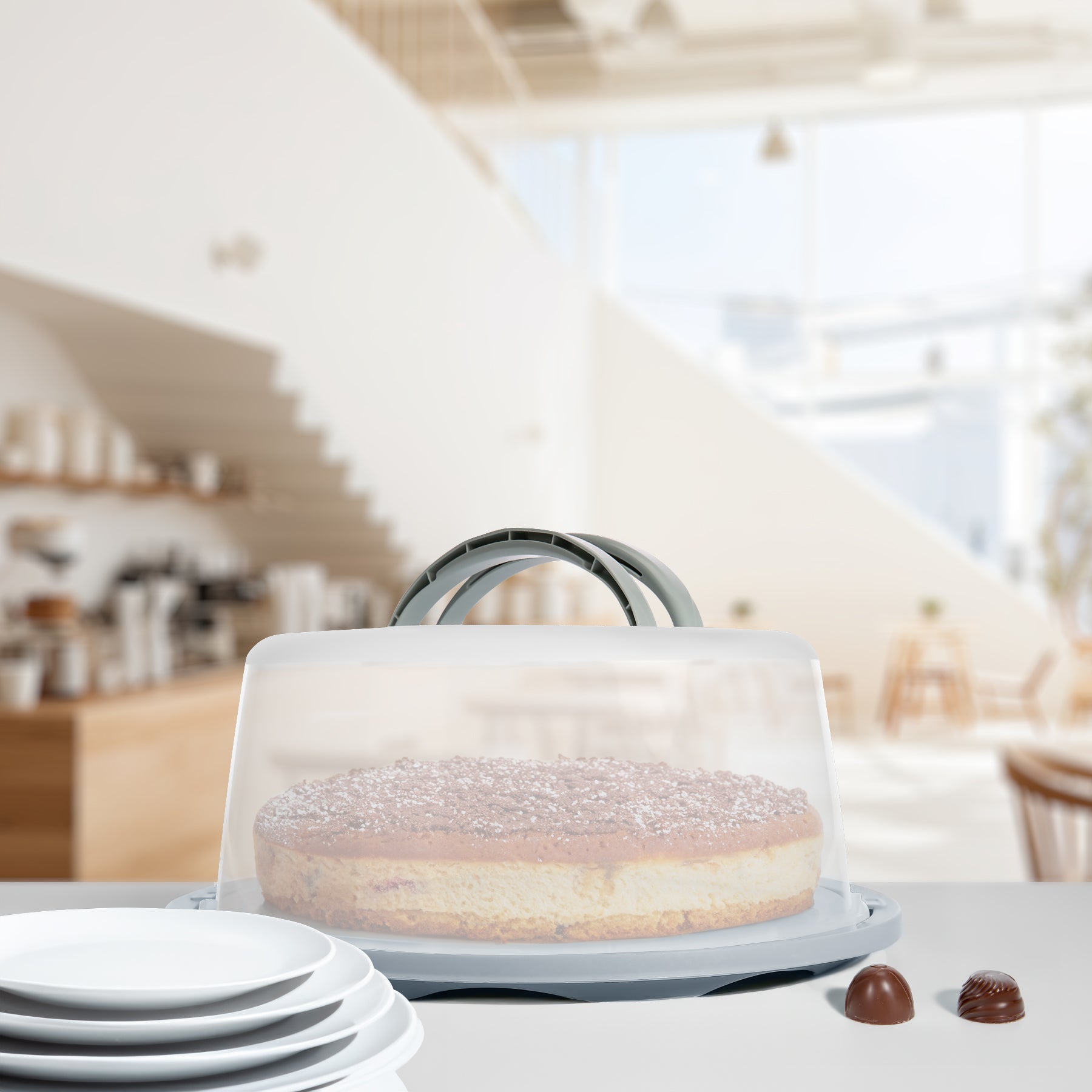 BigDean Kuchen Transportbox Rund in Pastell Grau – mit Doppel Tragegriff für sicheren Transport 6