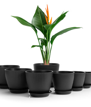8er Set Blumentöpfe in 8 Größen Anthrazit – Übertopf mit passendem Untersetzer – Pflanztopf