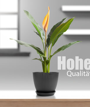 BigDean 8er Set Blumentöpfe in 8 Größen Anthrazit – Übertopf mit passendem Untersetzer – Pflanztopf 2