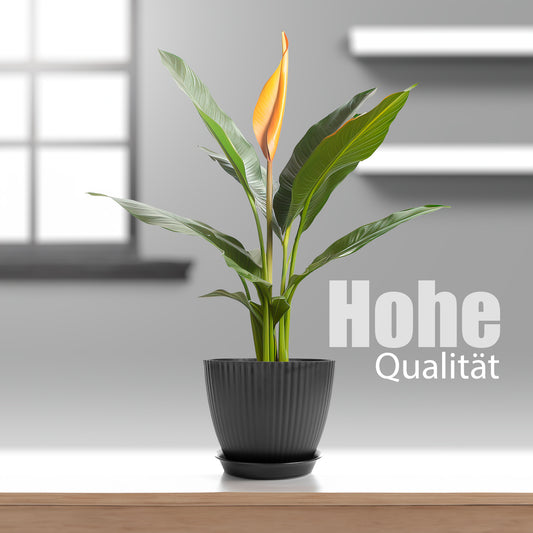 BigDean 8er Set Blumentöpfe in 8 Größen Anthrazit – Übertopf mit passendem Untersetzer – Pflanztopf 2