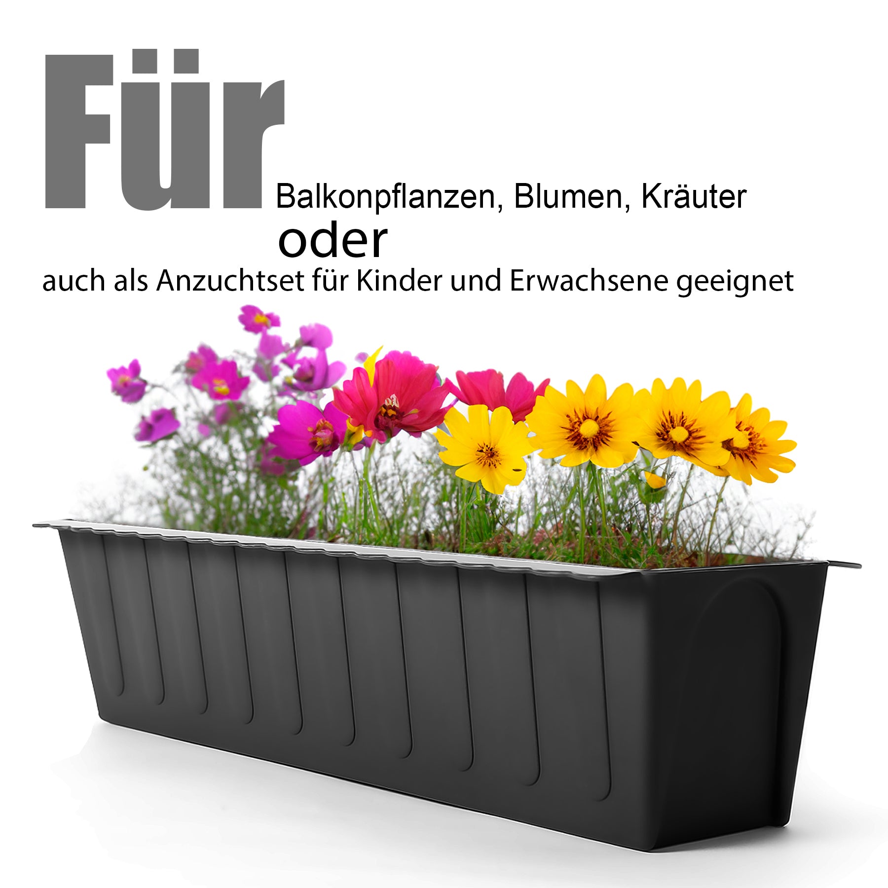 6 Stück Paletten Blumenkästen Einsatz in Anthrazit – Pflanzkasten zum Bepflanzen 3