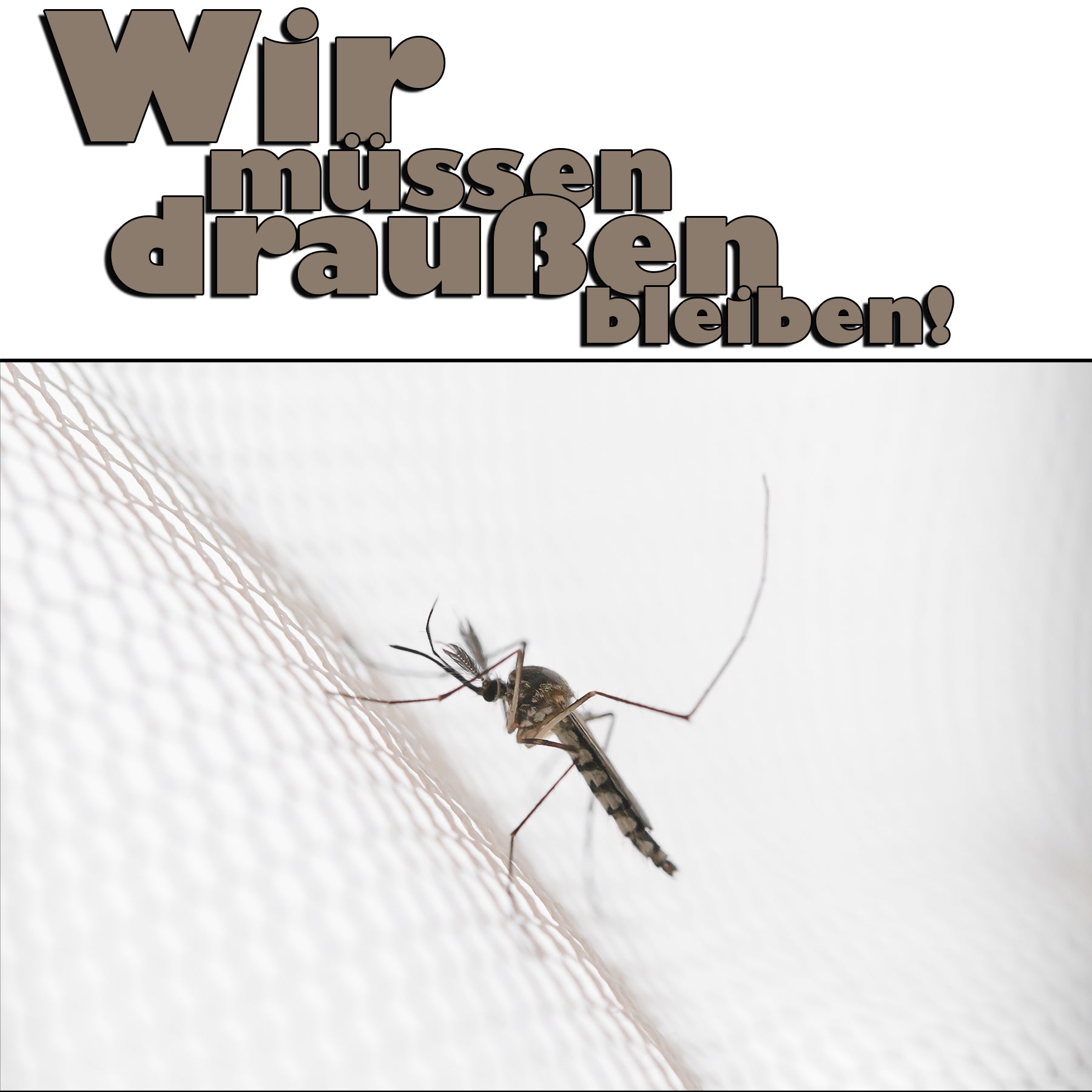 2 Stück Moskitonetz für unterwegs & zu Hause – effektiver Insektenschutz für Camping 3