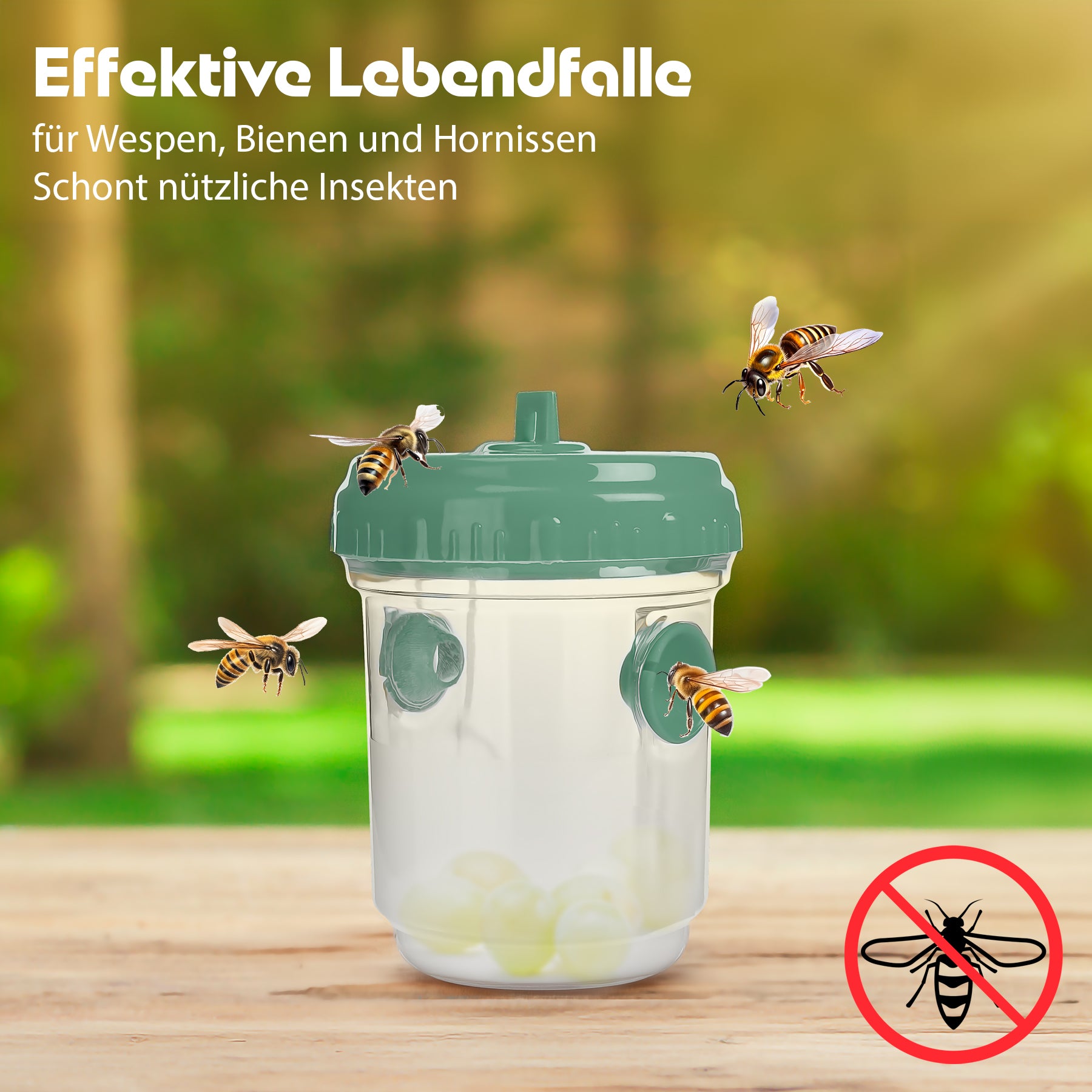 3 Stück Wespenfalle outdoor in Grün ø9x13cm –Aufhängen perfekt für Bienen 2