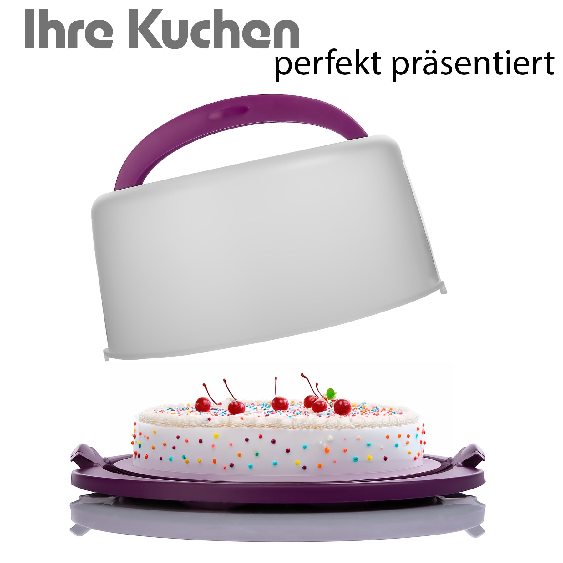 Kuchen Transportbox Rund in Brombeerfarbe – Tortenglocke mit zwei Tragegriffen 6