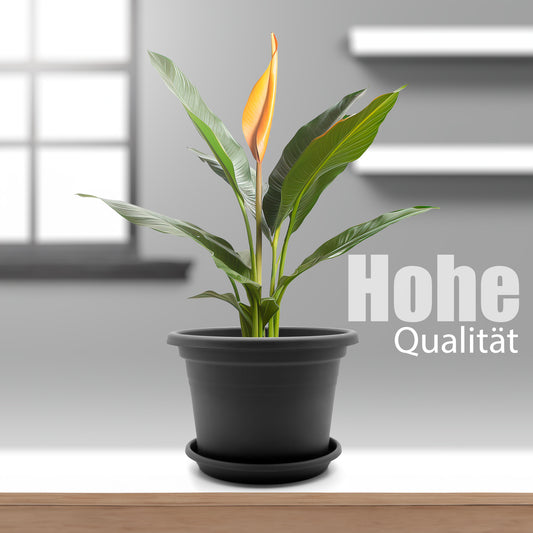 BigDean 8 Stück Blumentopf mit Untersetzer rund ø 25 cm Anthrazit – wetterfester Pflanzkübel Made in Europe 2