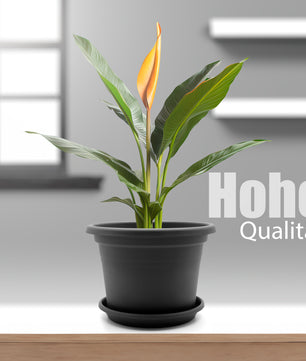 ecomposer-farbe-anthrazit,ecomposer-größe-durchmesser35cm