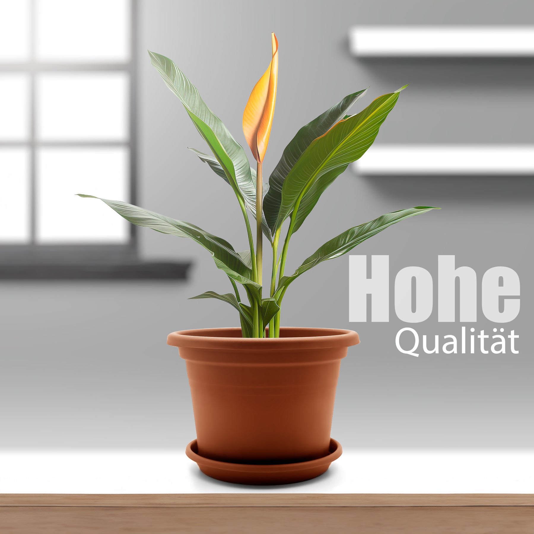 ecomposer-farbe-terrakotta,ecomposer-größe-durchmesser20cm