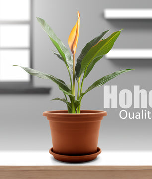 ecomposer-farbe-terrakotta,ecomposer-größe-durchmesser30cm