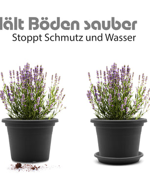 20 Stück Blumentopf Untersetzer Ø 30 cm in Anthrazit – Topfuntersetzer  6