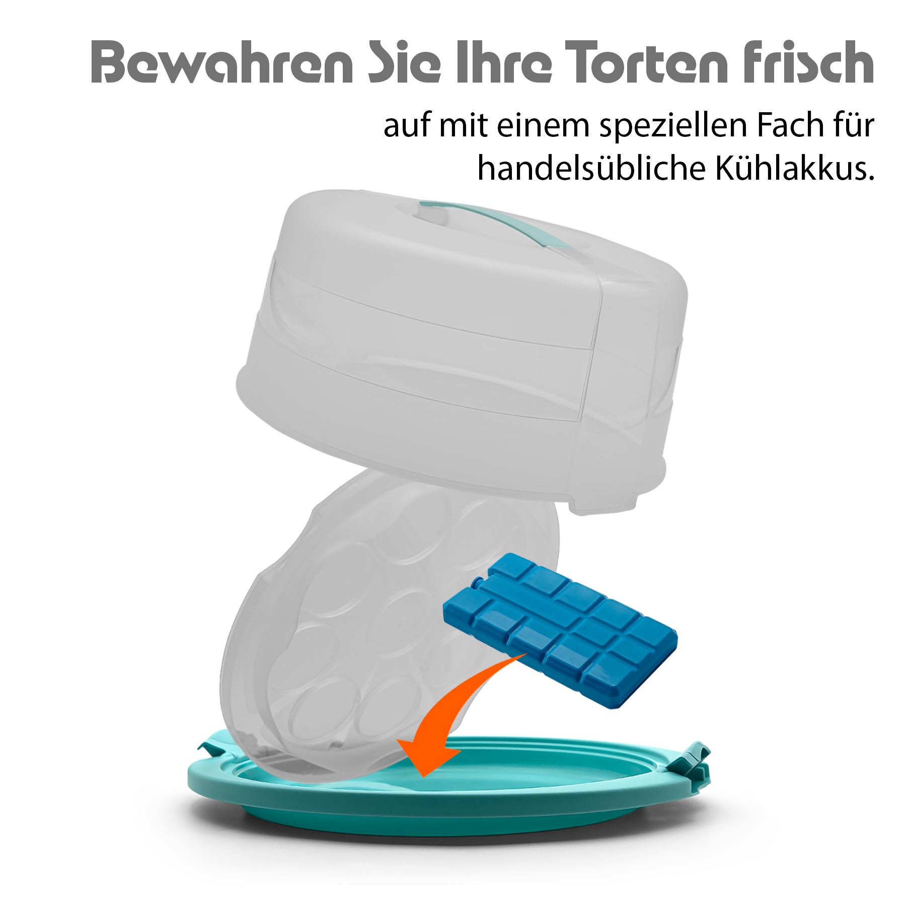 Kuchen Transportbox Rund mit Kühlfach in Brombeerfarbe – Tortenglocke mit zwei Tragegriffen  6